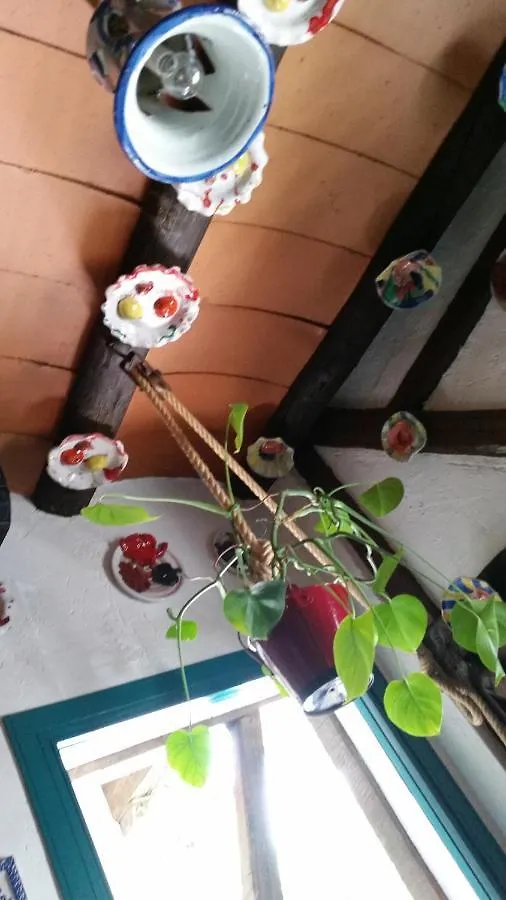 Guest house Hostal La Ninfa Granada